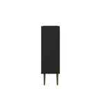 Bogart 45.5 Mid-Century Modern Accent Cabinet
