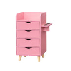 4 -Layer Salon Storage Cabinet